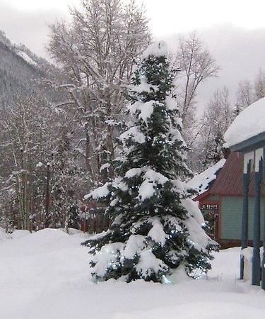 Blair Street Hostel Telluride Exterior foto