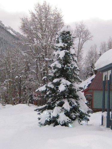 Blair Street Hostel Telluride Exterior foto